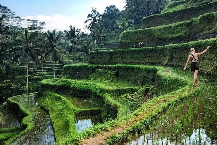 48b0be58-b6ce-4a62-8ab5-1a3788466a8b-1731060896266-3078d1fd7584992f8183e962402b2273