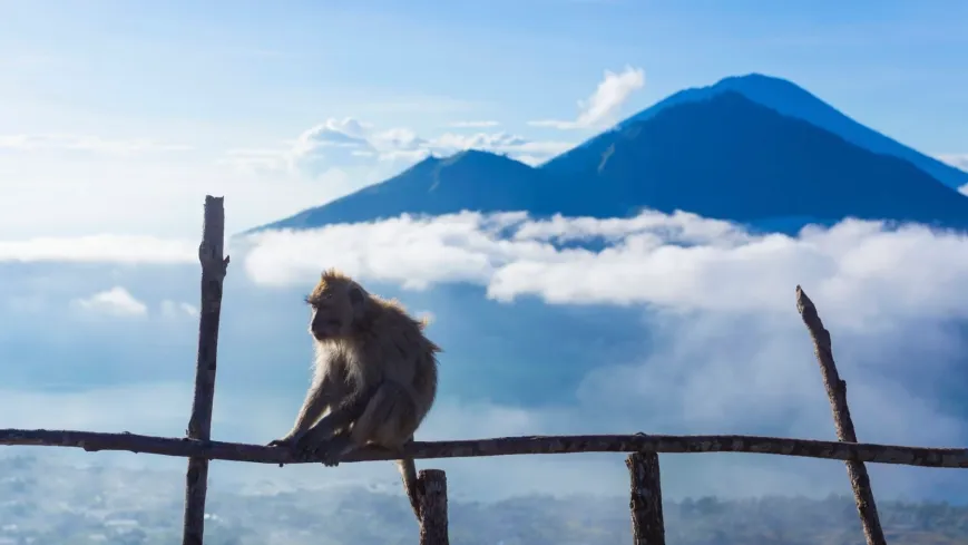 Mount-Batur-Bali-Trekking-Tour-16-x-9-04